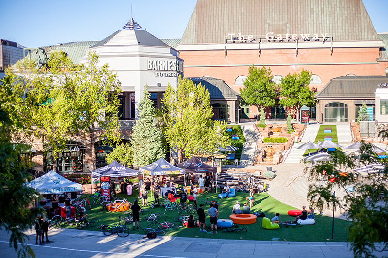The 5th Annual SLUG Cat Presented By The Gateway and New Belgium Brewing