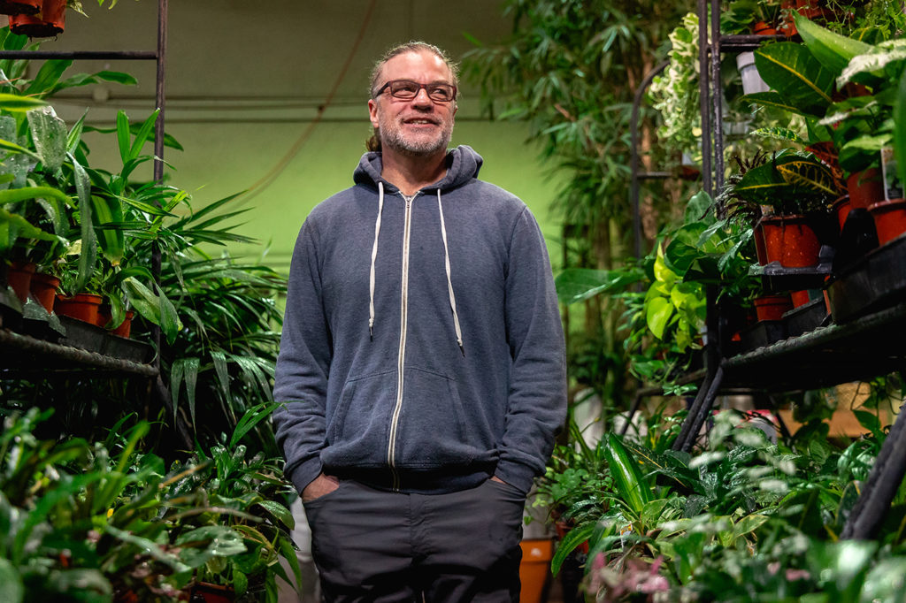Paradise Palm: 45 Years of Interior Plant Care & Sale