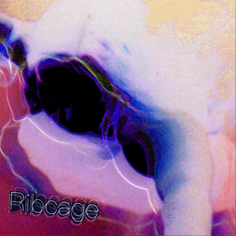 The album cover for Shrimp Parade's 2025 album Ribcage.